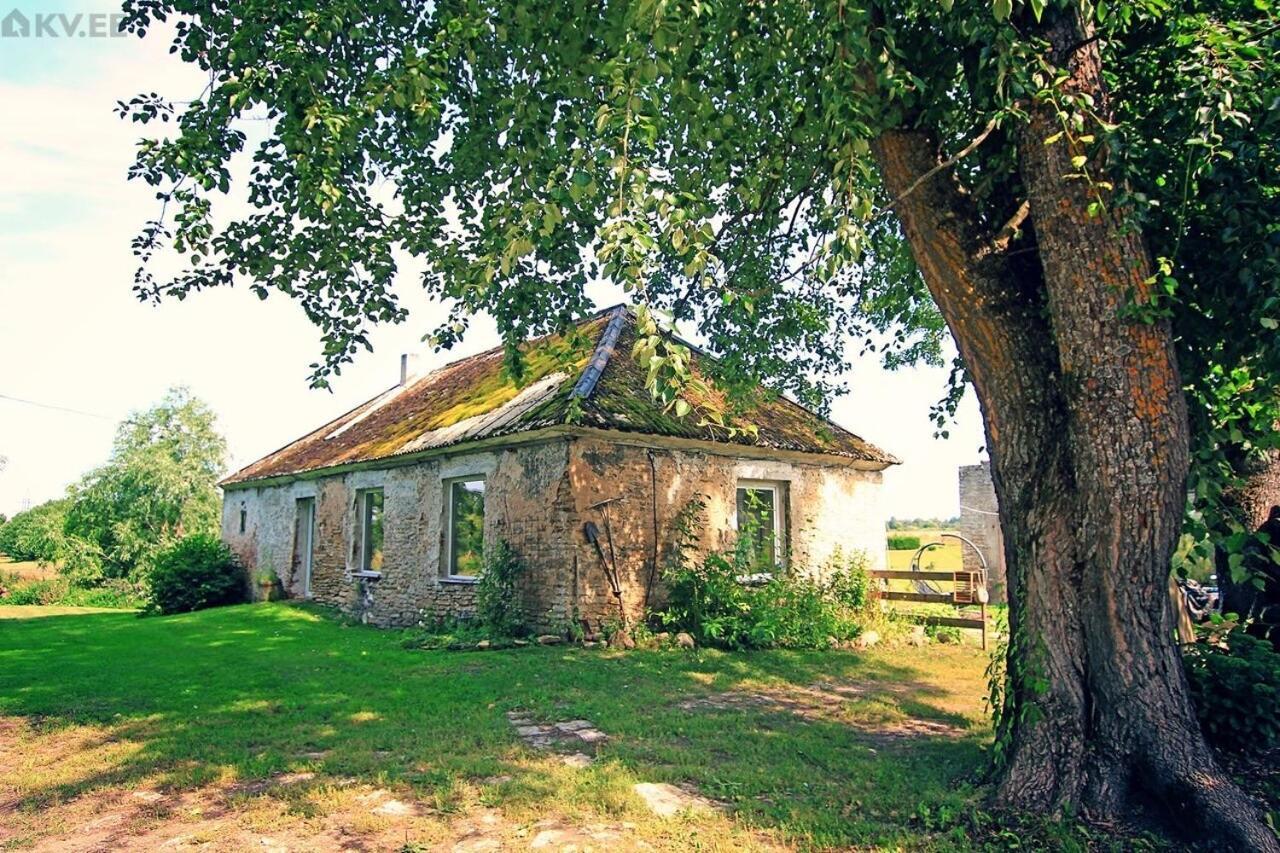 B&B Rando & Kaerdi Juures Oue Lyuganuse Eksteriør billede